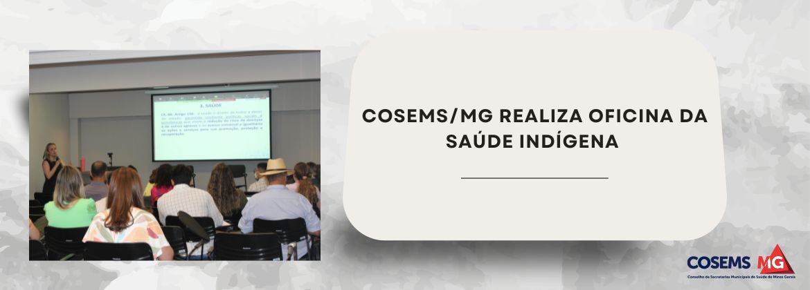 COSEMS/MG realiza Oficina da Saúde Indígena 