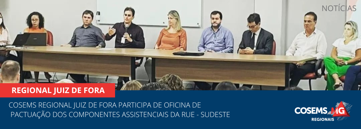 COSEMS Regional Juiz de Fora participa de Oficina de pactuação dos componentes assistenciais da RUE - Sudeste