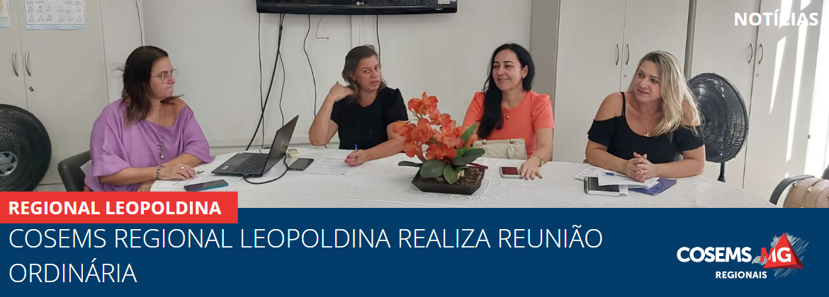 Cosems Regional Leopoldina realiza Reunião Ordinária