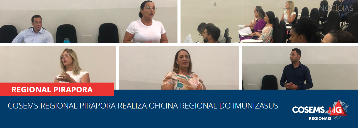 Cosems Regional Pirapora realiza Oficina Regional do ImunizaSUS