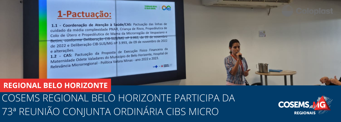 Cosems Regional Belo Horizonte participa da 73ª Reunião Ordinária das CIBs Micro