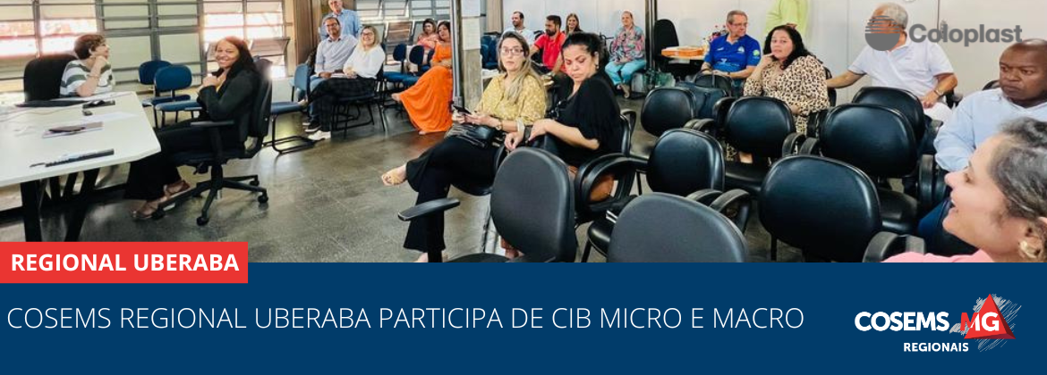 Cosems Regional Uberaba participa de CIB Micro e Macro