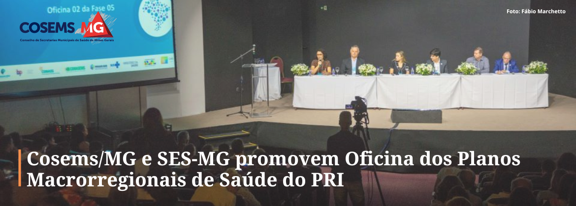 Cosems/MG e SES-MG promovem Oficina dos Planos Macrorregionais de Saúde do PRI