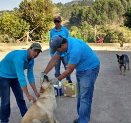 Jacuí faz Campanha de Vacinação Contra a Raiva Animal em cães e gatos