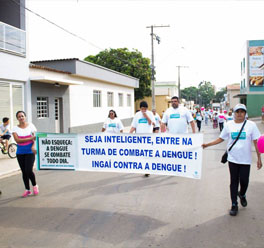 Semana Nacional de Combate ao Aedes Aegypti em Ingaí